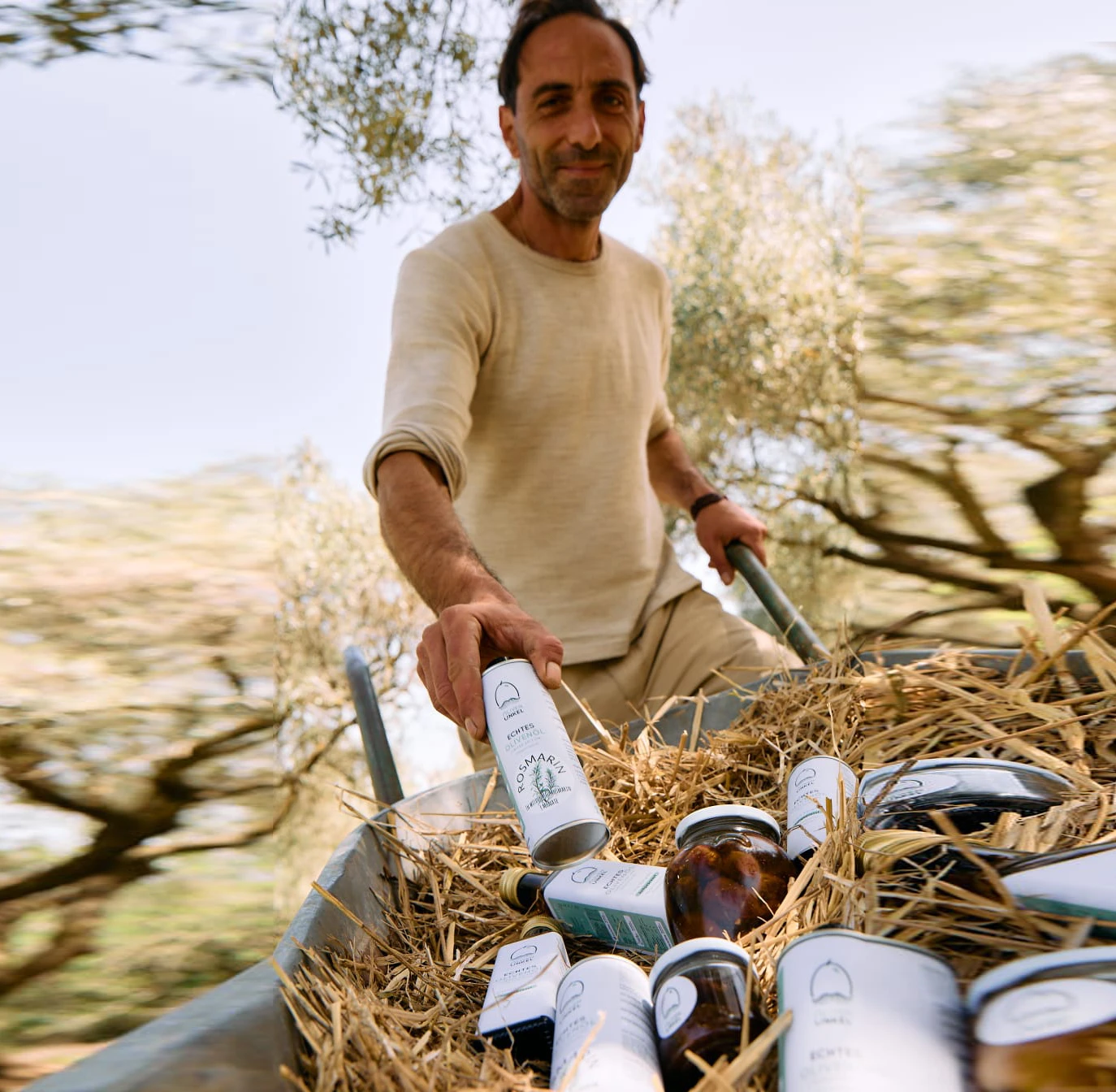 OlivenOnkel Olivenplantage