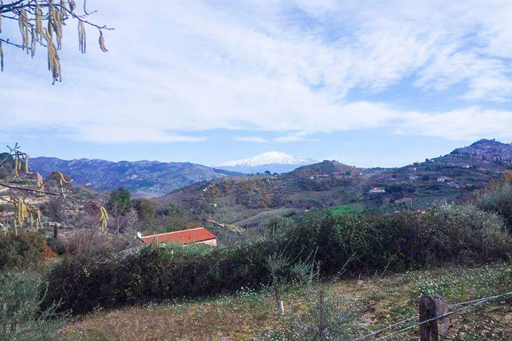 Aussicht von der Olivenplantage OlivenOnkel in Agira